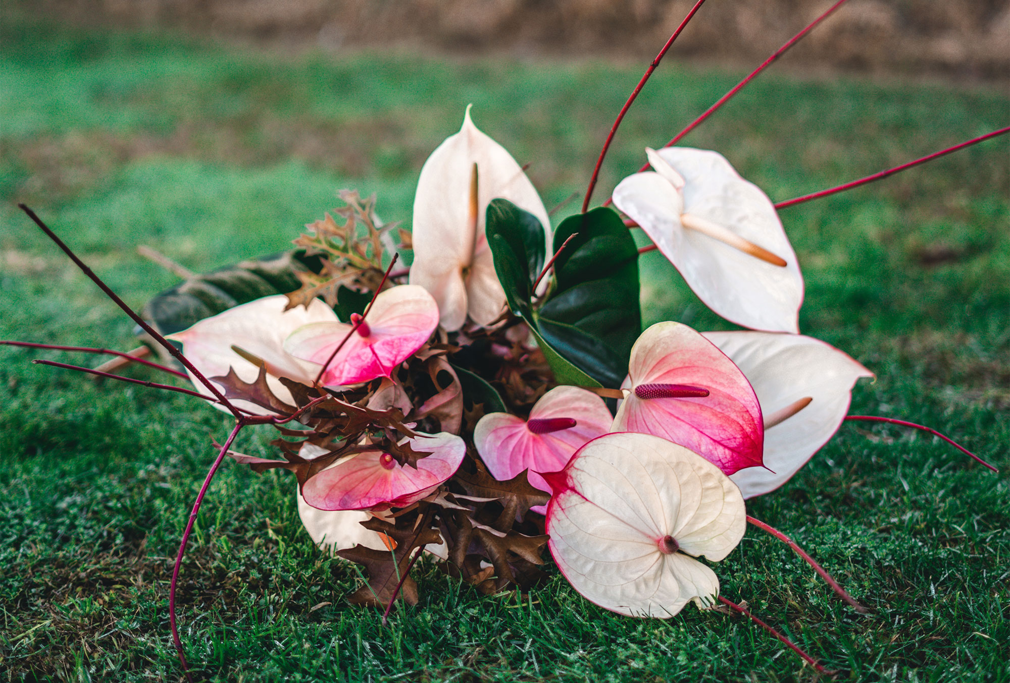 casamento_inspo_anturios